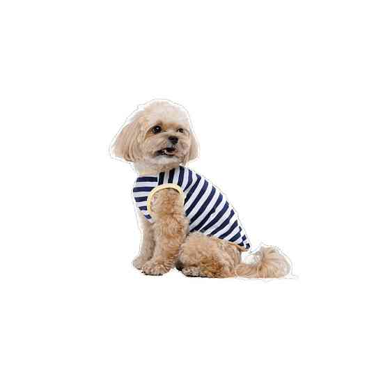 Майка Pet Fashion Tropic для собак L Київ