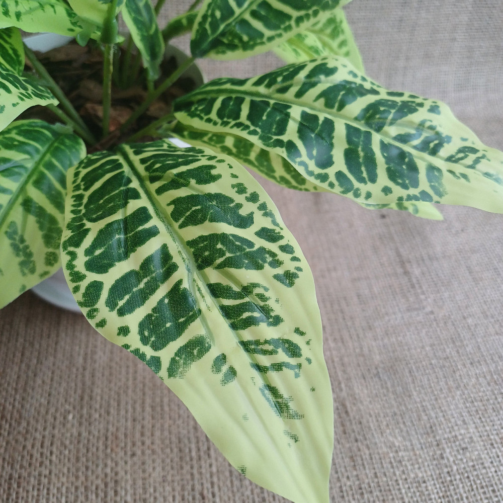 Штучний кущ аглонеми ківі із латексу Дніпро - фото 3