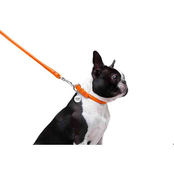 Повідець для собак шкіряний WAUDOG Glamour круглий, Д 8 мм, Дов 122 см помаранчевий Коломия