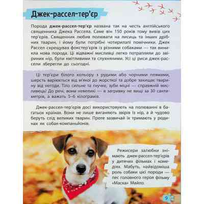 Книга Мініенциклопедія. Хатні улюбленці Vivat (9789669827241) Вінниця