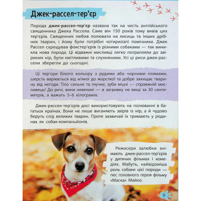 Книга Мініенциклопедія. Хатні улюбленці Vivat (9789669827241) Вінниця - фото 4