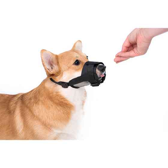 Намордник з нейлону "Dog Extreme" регульований з сіткою №1 (А:14-20см) (йорк, пудель, кокер-спа Коломия