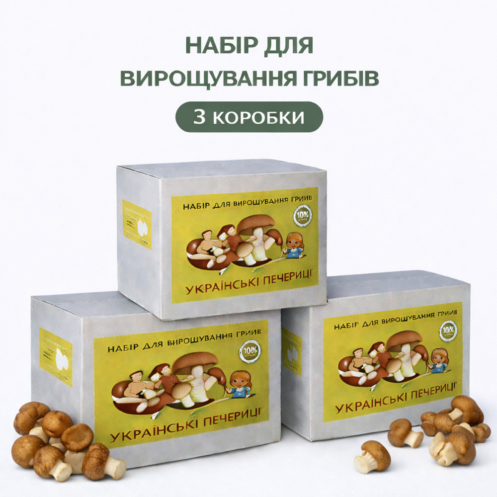 Набор для выращивания грибов подарочный, с мицелием королевских шампиньонов ( 3 коробки ) Харьков - изображение 1