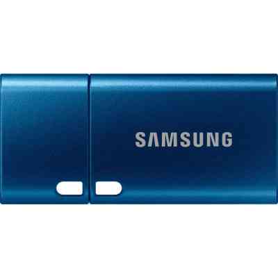USB флеш накопичувач Samsung 64GB USB 3.2 Type-C (MUF-64DA/APC) Вінниця