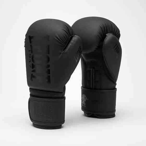Боксерські рукавиці Leone GN058 TONE X Black 10 унцій Кам'янське