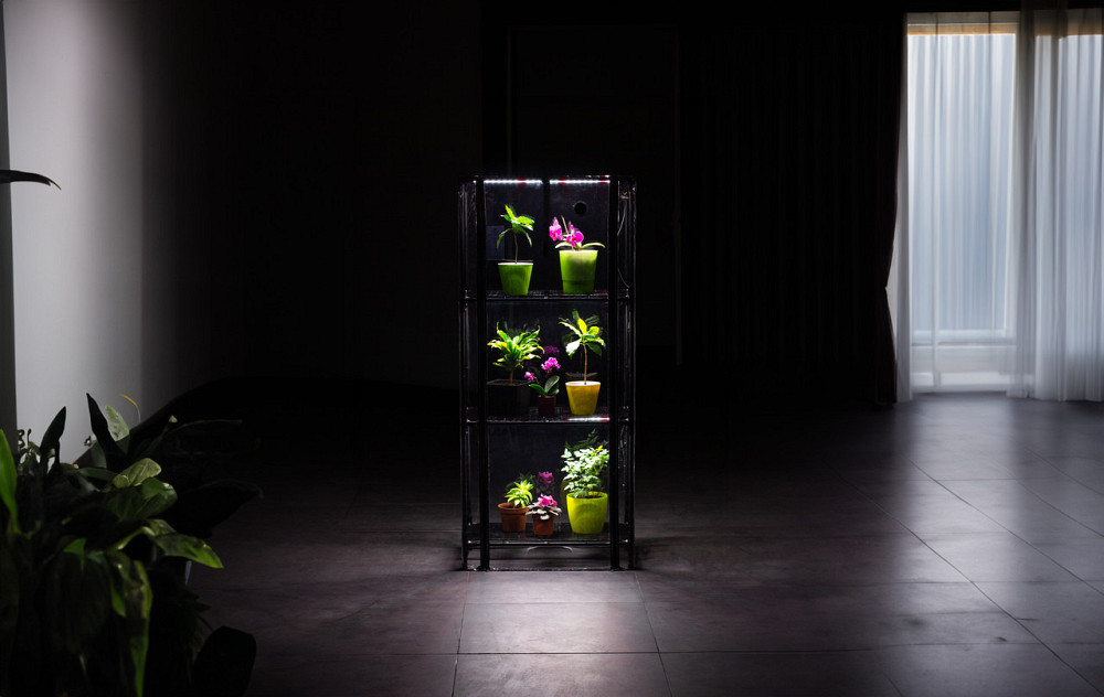 Міні-теплиця з фіто світлом для дому Sezam Black Strong + 3 вентилятори Бориспіль - фото 3