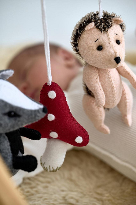 Набір іграшок-підвісок WooolyWool "Друзі" Київ - фото 7