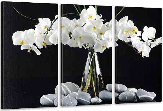 Модульна картина Орхідея Art-43_3А 100x150 см Київ
