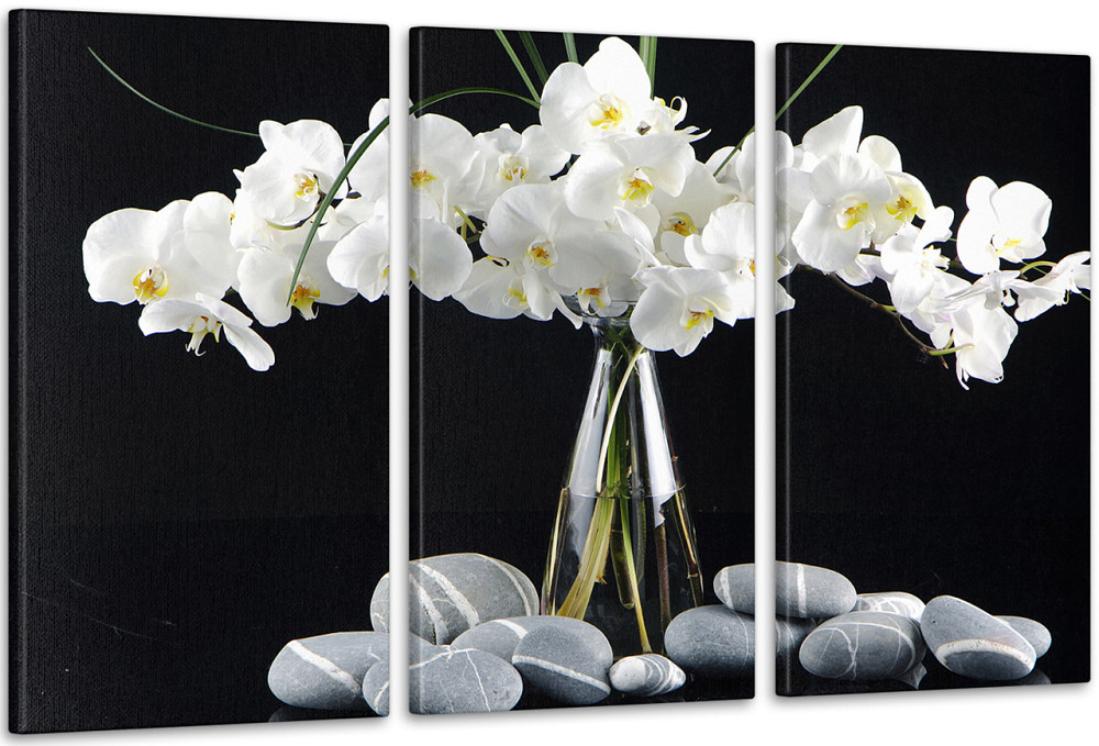 Модульная картина Орхидея Art-43_3А 100x150 см Киев - изображение 1