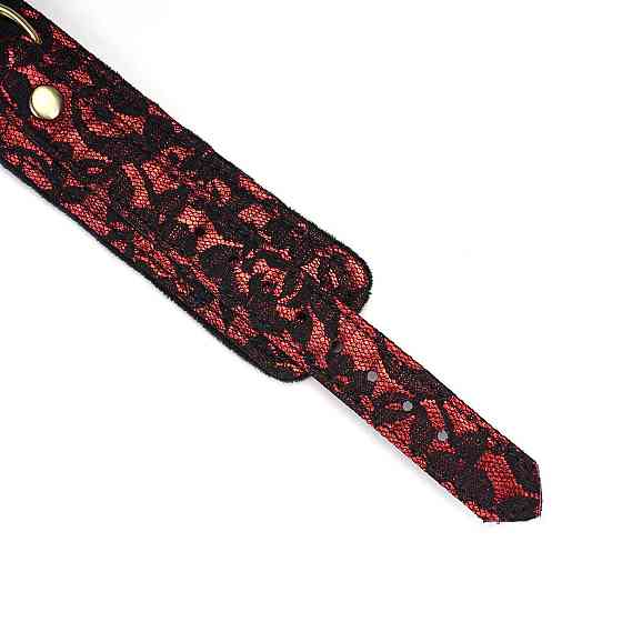 Нашийник з повідцем Liebe Seele Victorian Garden Collar with Leash Sex Aura Київ