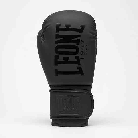Боксерські рукавиці Leone GN058 TONE X Black 10 унцій Кам'янське