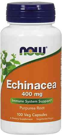 Ехінацея Now Foods Echinacea 400 мг 100 капс Київ