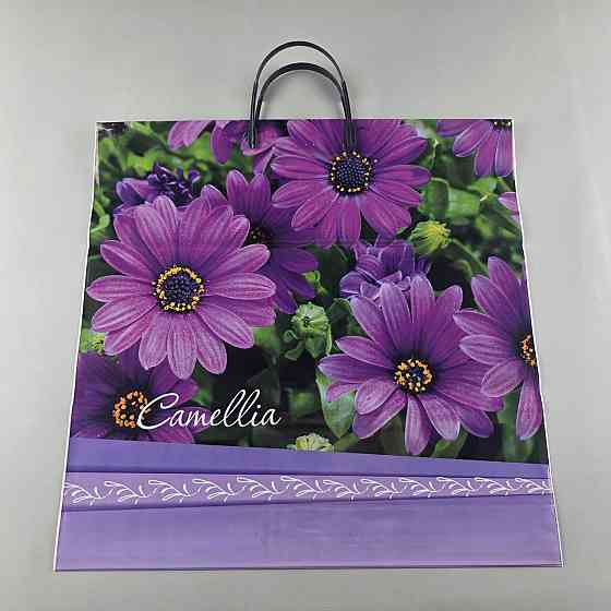 Поліетиленовий пакет (40х40) з пластиковою ручкою "Камелія" (10 шт.) Харків