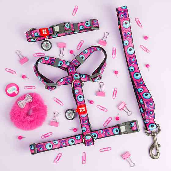 Ошейник для собак нейлоновый WAUDOG Nylon с QR паспортом, рисунок 