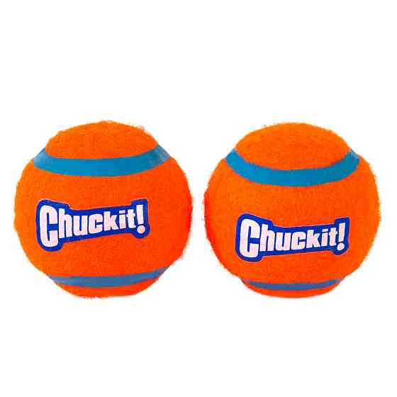 Тенісний м'ячик Chuckit! Tennis Balls іграшка для собак розмір M, набір 2 шт Вінниця