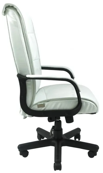 Офісне Крісло Керівника Richman Rio Lucky White Пластік Річ М2 AnyFix Білий Київ - фото 3