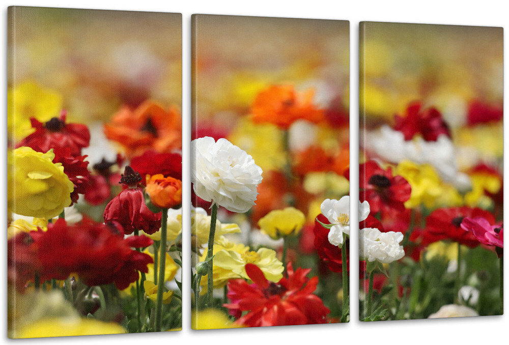 Модульная картина в гостиную / спальню   Квіти в полі    ART-016_3A 70х130 см Київ - фото 1
