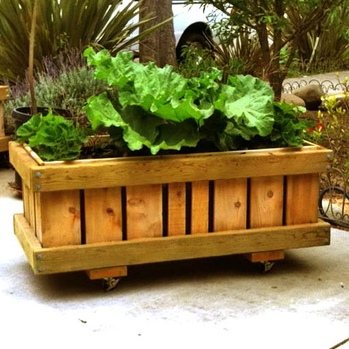 Кашпо садове "Аполонія" сієна Миколаїв - фото 1