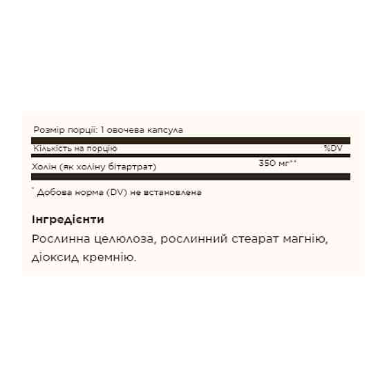 Холин SOLGAR Choline 350 mg 100 раст капс Киев