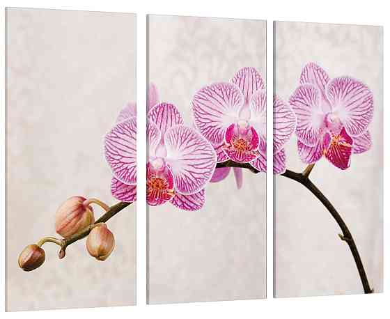 Модульна картина Квіти Орхідея Art-138_XXL Київ