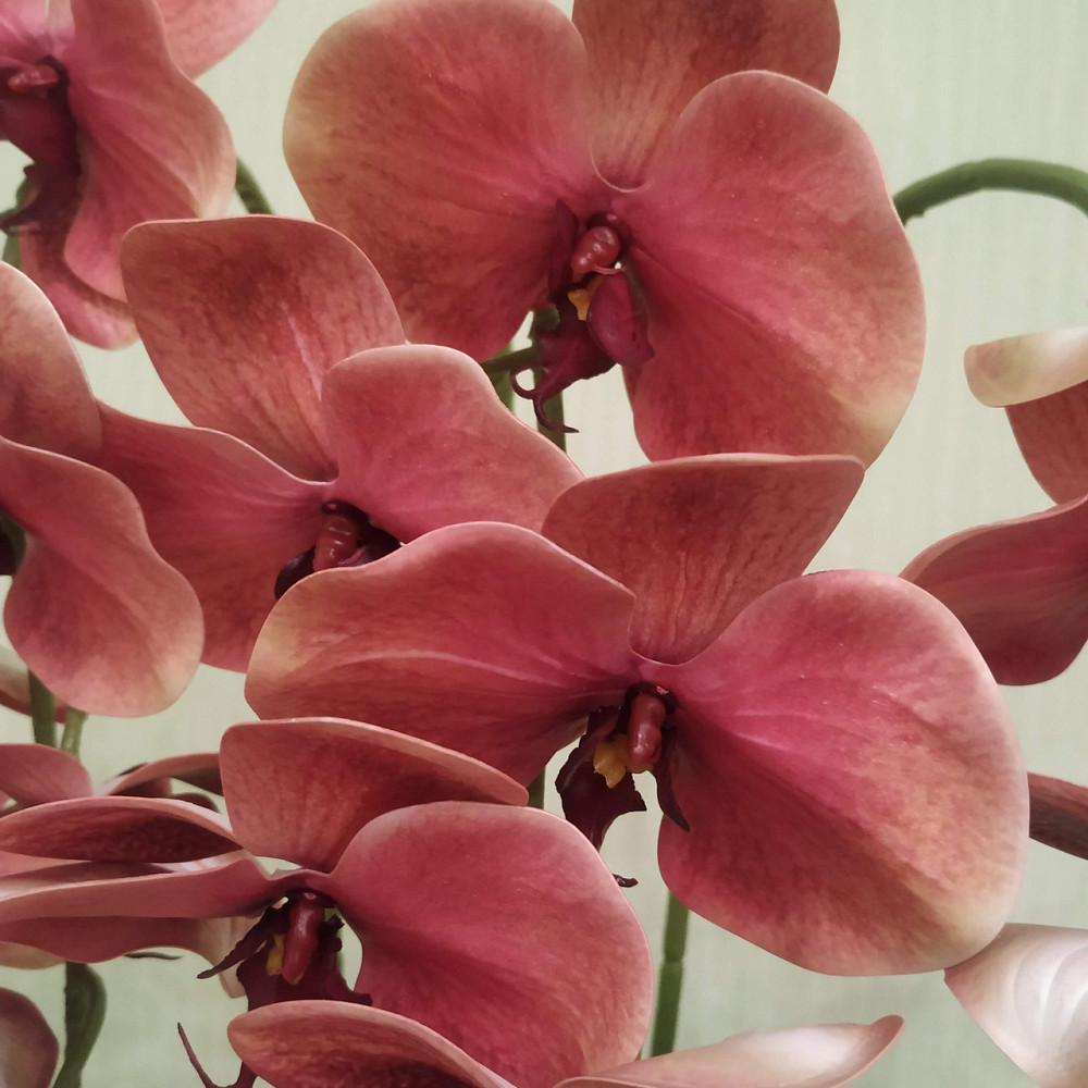 Штучна латексна орхідея VIP у керамічному кашпо кольору антрацит на три гілки персикова Дніпро - фото 5