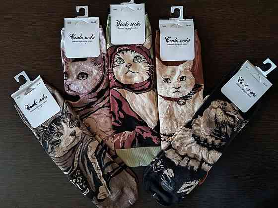 Носки женские с кошками. В наборе из 5шт. Яркие женские носки с приколами. Coalo socks. Размер 36-41 Киев