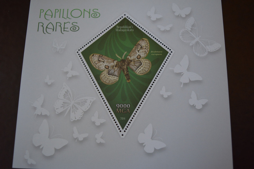 Мадагаскар. Марки. Фауна. Блок. 2015 рік (А-22) Полтава - фото 1