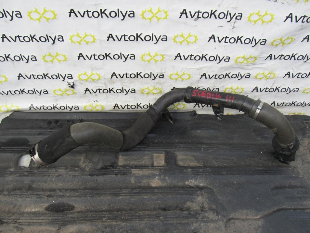 Патрубок інтеркулера Renault Scenic 1.6 DCI 2009-2016 (1065332S01) Ковель - фото 1