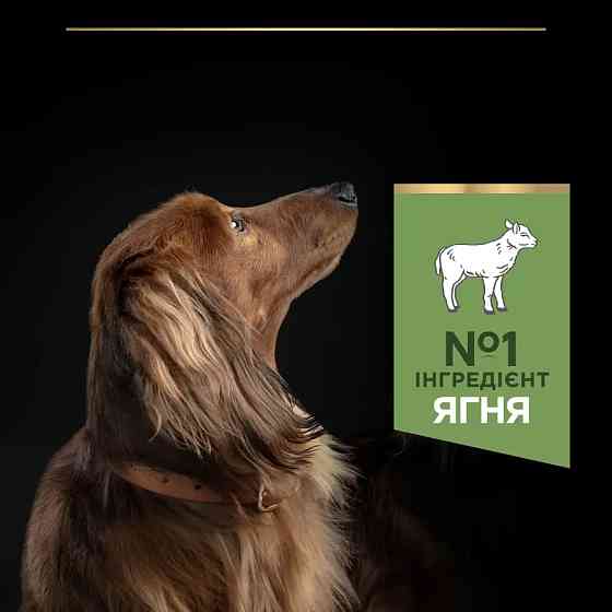 Сухой корм PRO PLAN Small&Mini Adult 1+ Sensitive Digestion для взрослых собак мелких пород, с чувствительным пищеварением, с ягненком, 3 кг Киев