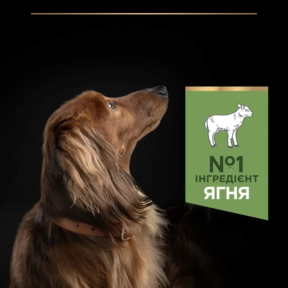 Сухой корм PRO PLAN Small&Mini Adult 1+ Sensitive Digestion для взрослых собак мелких пород, с чувствительным пищеварением, с ягненком, 3 кг Киев - изображение 6