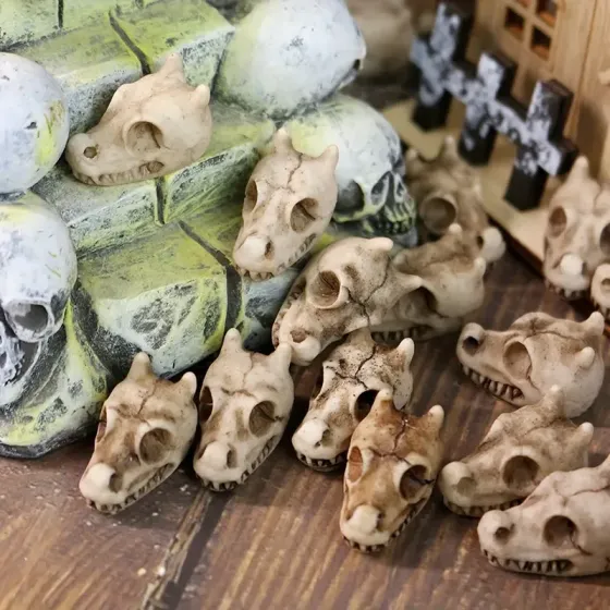 Набор «Черепа дракона» из смолы – 10 штук для декора Киев