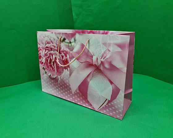 Паперовий великий горизонтальний пакет 36/22/10 (артBG-002) (12 шт.) Харків