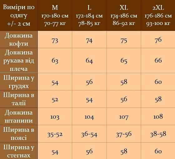 Чоловічий спортивний костюм чорний флісовий худі і штани теплий Турція спортивний прогулянковий з написами L Одеса