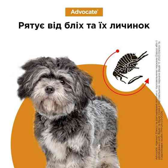 Краплі для собак до 4 кг проти бліх, кліщів, вошей, гельмінтів Bayer Elanco Advocate (Байєр Адвокат) 3 х 0.4 мл Запоріжжя