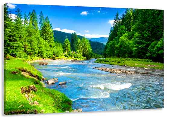 Картина холст  в гостиную / спальню Гірська ріка   MLP_1 80х160см Киев