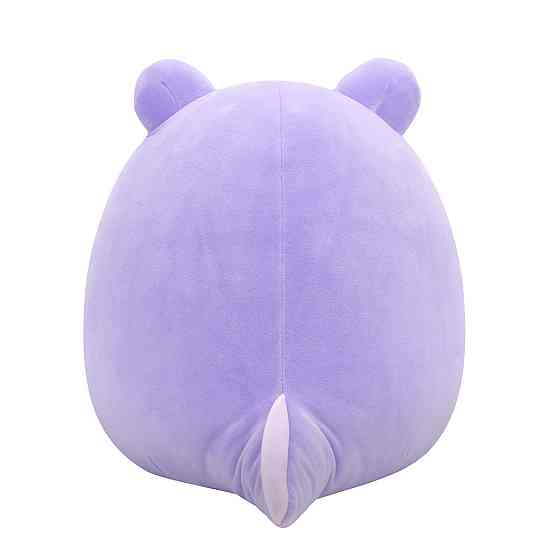 М'яка іграшка Squishmallows – Жабка Наомі (30 cm) Днепр