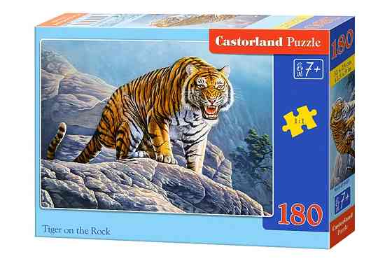 Пазлы Castorland 180, шт Киев