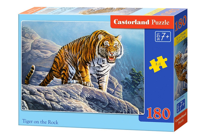 Пазлы Castorland 180, шт Киев - изображение 1