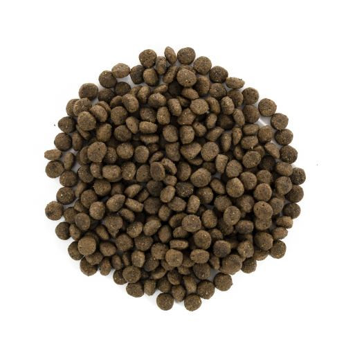 Корм сухой Brit Care Grain Free Mini Light and Sterilised для взрослых собак мелких пород с лишним весом или стерилизованных Киев - изображение 2