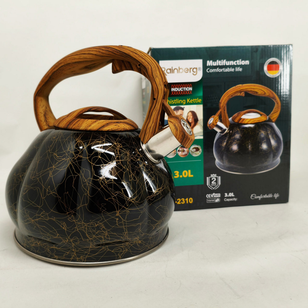 Чайник из нержавеющей стали с пищалкой Rainberg, Чайник для газовых плит для газовой комфорки SX-66 Львов - изображение 2