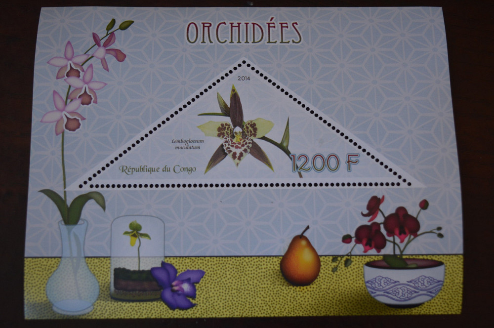 Конго. Фауна. Личности. Блок. 2014 р. (А-34) Полтава - фото 1