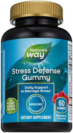 Nature's Way Stress Defense Gummies малина 60 цукерок Київ