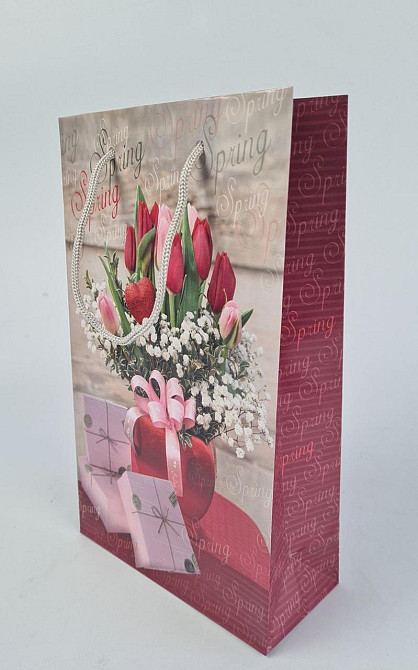 Паперовий пакет подарунковий Середній 17/26/8 (артSV-134) (12 шт.) Харків - фото 1