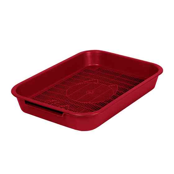 ТУАЛЕТ "CAT" Київ