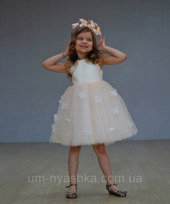 Обруч с бабочками Кривой Рог - изображение 9