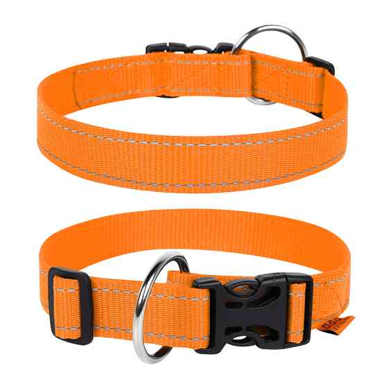 Нашийник Dog Extreme з нейлону регульований (ширина 40мм, довжина 43-70см) помаранчевий Коломыя