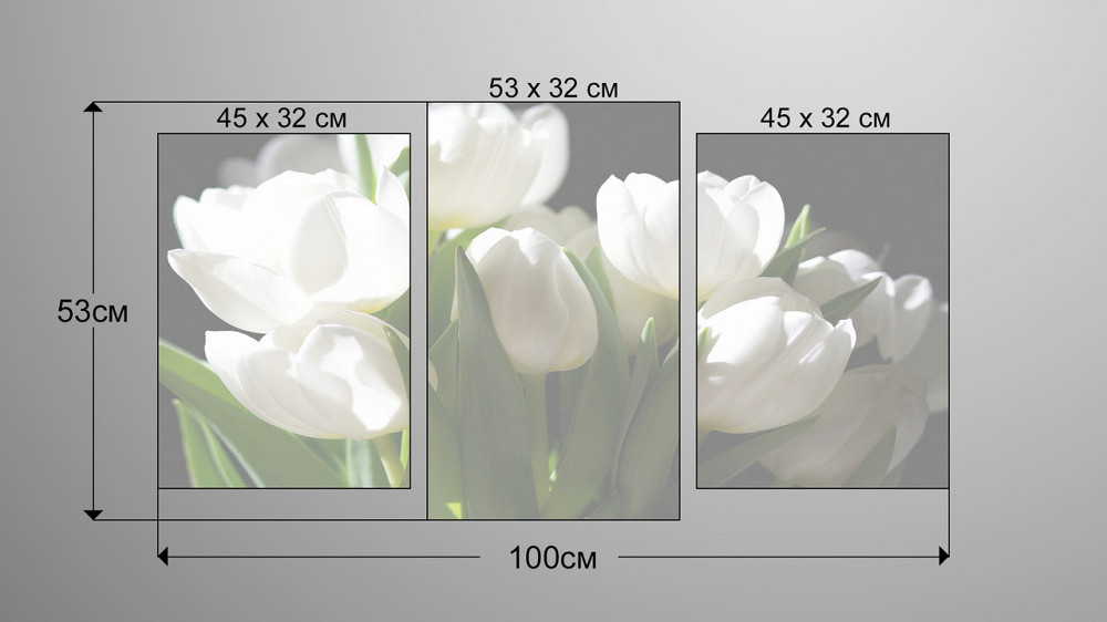 Модульна картина Квіти Білі Тюльпани Art-4_3b Київ - фото 3