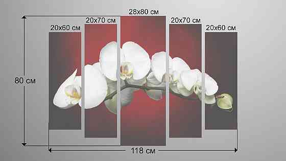 Модульна картина Біла орхідея Art-127_5 Київ