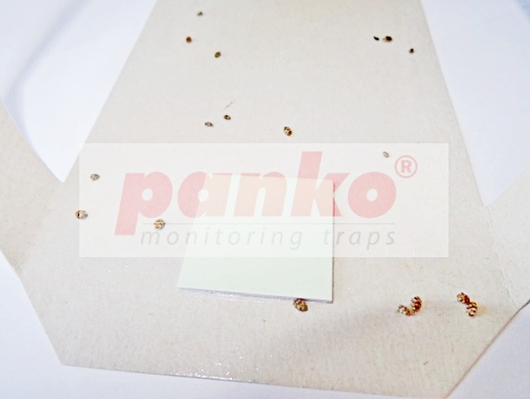 Ловушка пищевых жучков L-Trap Panko, 2 шт Днепр - изображение 5
