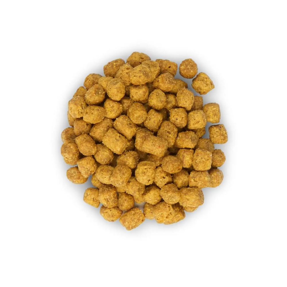 Hills Science Plan Feline Adult Sterilised (Хіллс Стерилізед Курка) корм для котів стерильних 1-6 років 10 кг. Запоріжжя - фото 4
